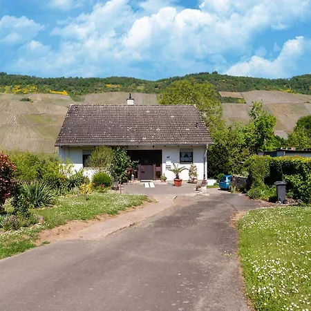 In With Moselle View Lägenhet Wehlen