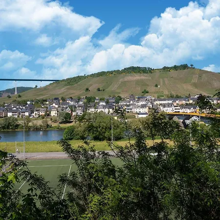 公寓 Moselle Vineyard Escape