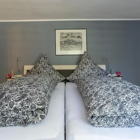 Moselle Vineyard Escape 公寓 *